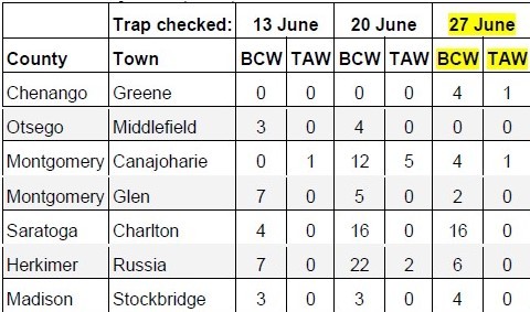 traps checked table