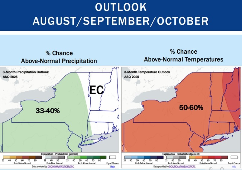 Outlook August/September/October Outlook August/September/October
