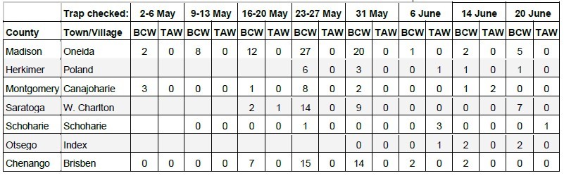 Table of traps for BCW, WBC, and TAW in corn