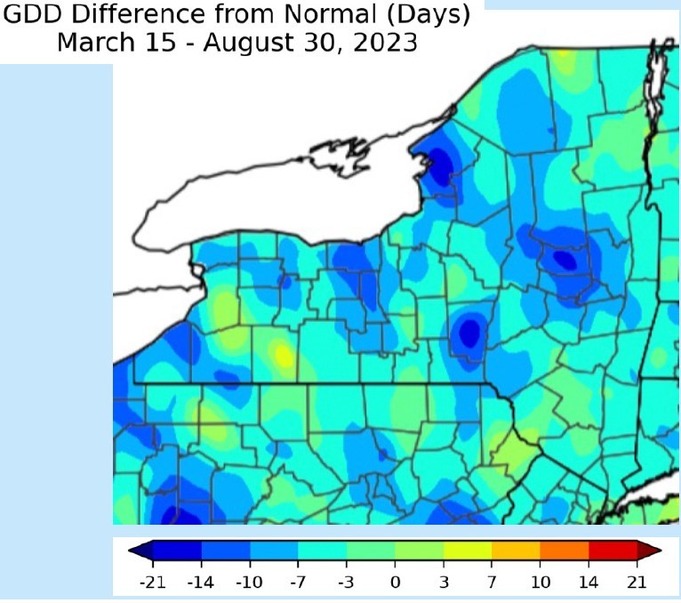 GDD difference from Normal (Days) March 15 - August 30 2023