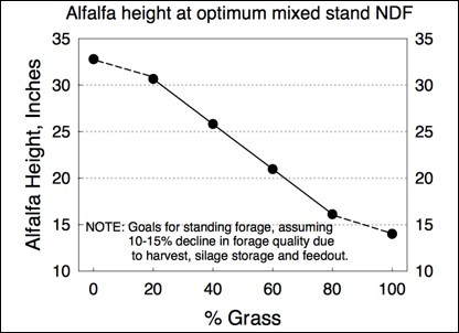 Alfalfa Height at optimum mixed stand NDF Alfalfa Height at optimum mixed stand NDF