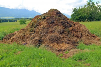 Poultry Processing Waste Management via Composting