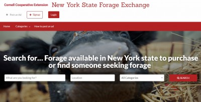 NYS Forage Exchange Website Announced