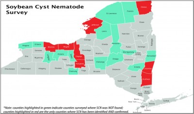 Monitoring Fields for Soybean Cyst Nematode in Southwest NY