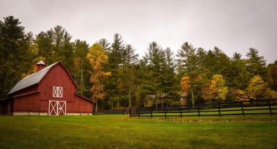 Second Round of Coronavirus Food Assistance Program for Farms Now Available