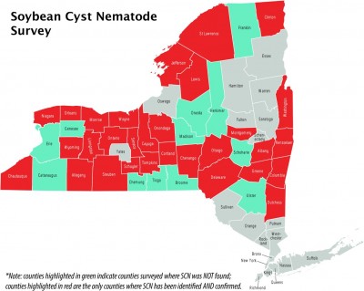 The Results are in for SWNY! Soybean Cyst Nematode Distribution in the State