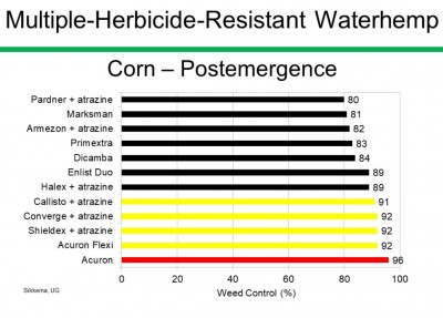 Results from post-emergence corn herbicide study on waterhemp
