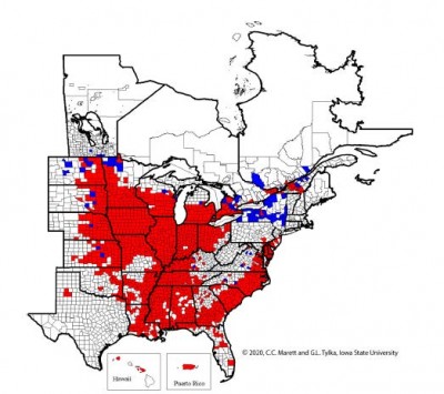 Soybean Cyst Nematode Keeps Spreading, Economic Losses Increasing