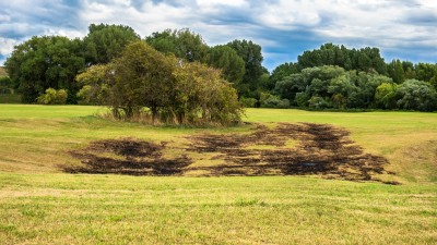 Grazing Livestock and Mud Season