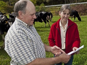 Seeking Dairy Farms to Join Dairy Grazing Cohort