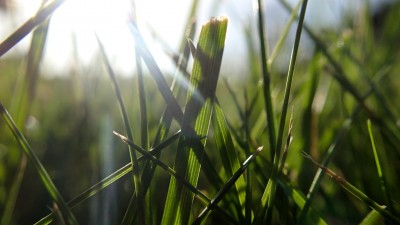 Opportunity for Graziers to Fine Tune their Grazing Skills