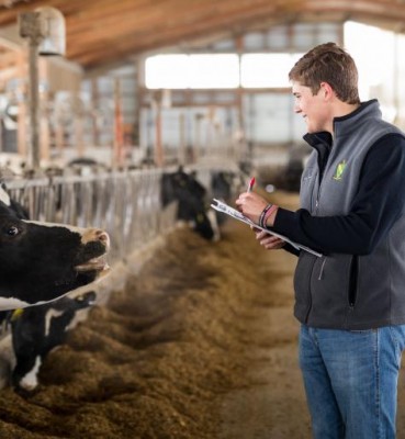 Troubleshooting Herd Health Issues on Your Dairy