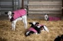Brr, it's cold in here! by Casey Havekes