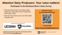 Participate in the Northeast Beef x Dairy Survey