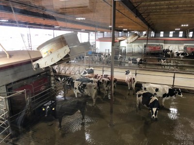 Draft CAFO Permit and Fact Sheet Released - PRO DAIRY