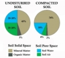 The Slow and Furtive Nature of Pasture Soil Compaction: Project Develops Ratio..