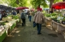 Study Reviewing Point-of-Sale (POS) Software and Marketing at Farmer's Markets