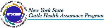 NYS Offers Heard Health Assistance to Cattle and Small Ruminant Producers