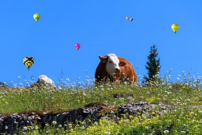 Managing Heat Stress by Paul Beck