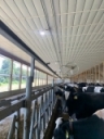 Six Steps to Lower Your Fan Energy Bill - Dairy Herd Management