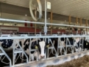 To Retrofit Or Not To Retrofit, That Is The Question! - Tim Terry (PRO-DAIRY)