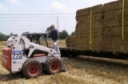 Straw: To Bale or Not to Bale?