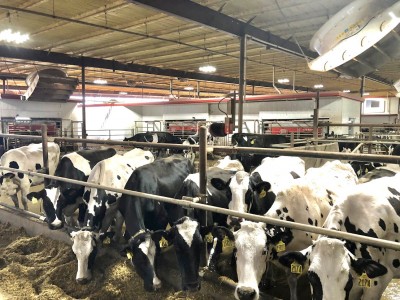 NYS DEC Releases New CAFO Permit - PRO DAIRY