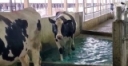 Is your footbath working for you?