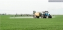 No Relief in Sight for High Fertilizer Prices