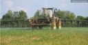 Plan now for better 2023 weed control