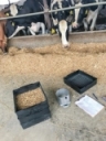Chop talk: The importance of forage particle size in the diet -Progressive Dairy