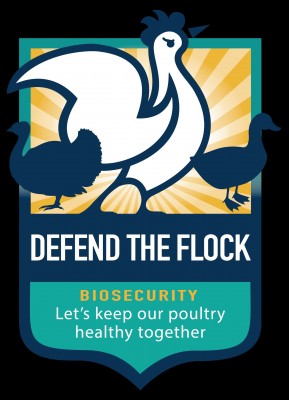 Follow Best Practices to Prevent the Spread of Bird Flu