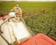 Using Adjuvants in Your Pesticide Program