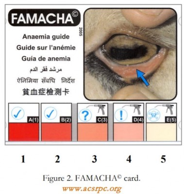How to get a Replacement FAMACHA Card