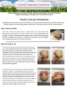 Poultry Carcass Breakdown Fact Sheet