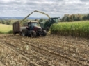 Field Nitrogen Balances for Corn Silage