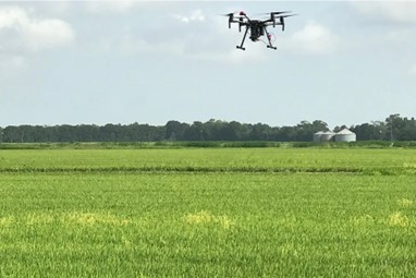 Drones in Agriculture