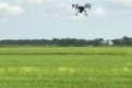 Drones in Agriculture