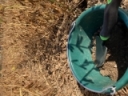 Decoding Your Soil Test Results