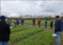 Practical Lessons Learned from Advanced Soil Health Training: Part 2