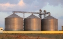 Proper Stored Grain Maintenance over the Winter: A Key to Pest Management