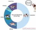 Toe-tally Essential: Regular Hoof Trimming for your Dairy Cows
