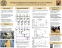 2025 American Dairy Science Association Poster Presentation