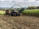Ferment to Be: Silage Inoculants