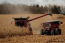 Combine Adjustments to Minimize Corn Harvest Losses