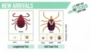 Expansion of (Asian) Longhorned Tick in New York