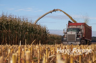 Learn From Your Silage Harvest
