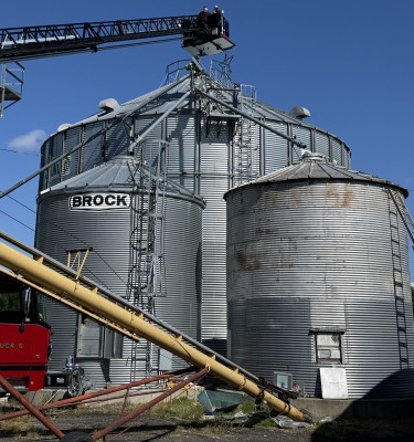 Looking Past the Bin Door