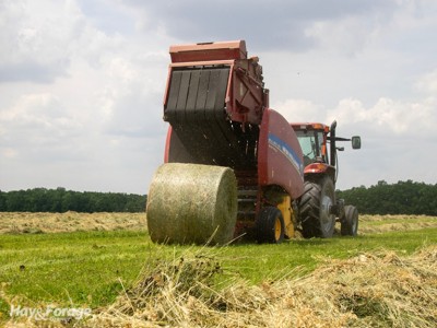The Hidden Costs of Making Hay
