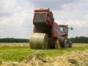 The Hidden Costs of Making Hay